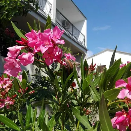 Adria 1 Apartman *